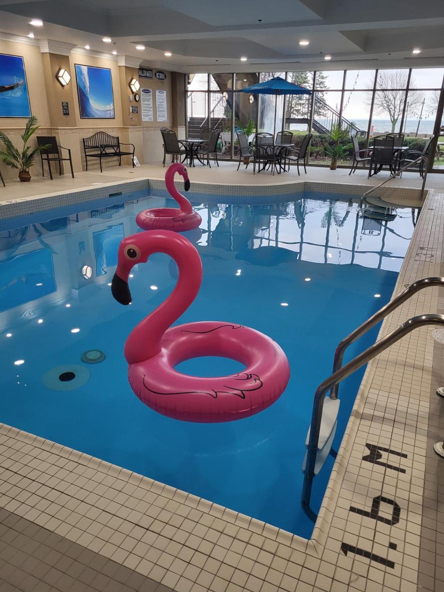 Waterfront Hotel Downtown Burlington Dış mekan fotoğraf